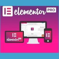 Elementor Pro – Wtyczka WordPress Premium Kreator Stron WWW wtyczki woocommerce