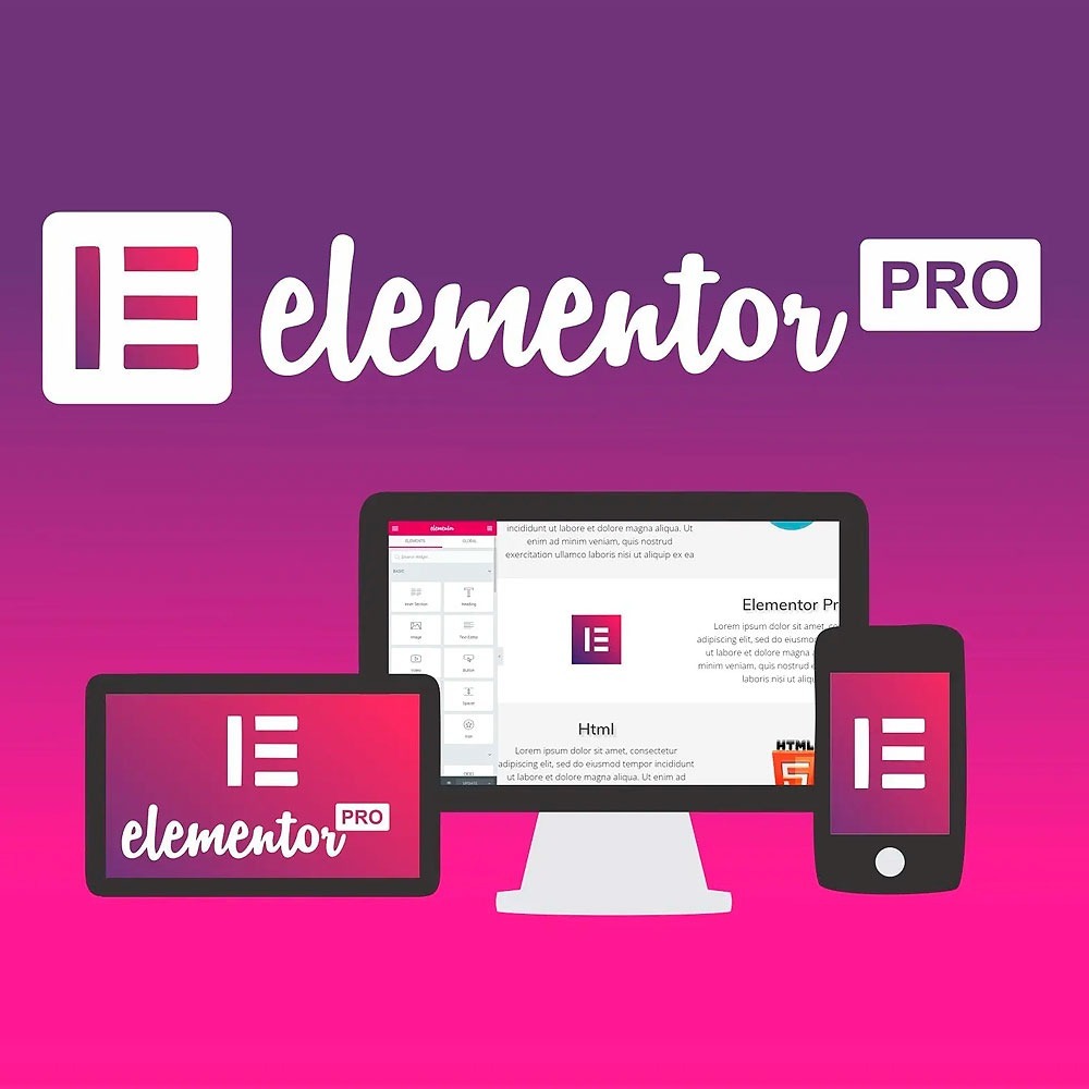 Wtyczka Elementor PRO wtyczki woocommerce